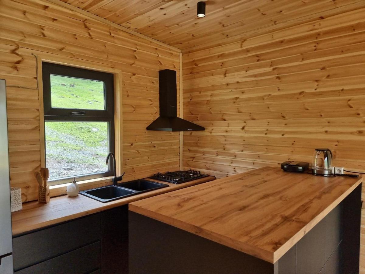 Apartament Memory Hut_Kazbegi Zewnętrze zdjęcie